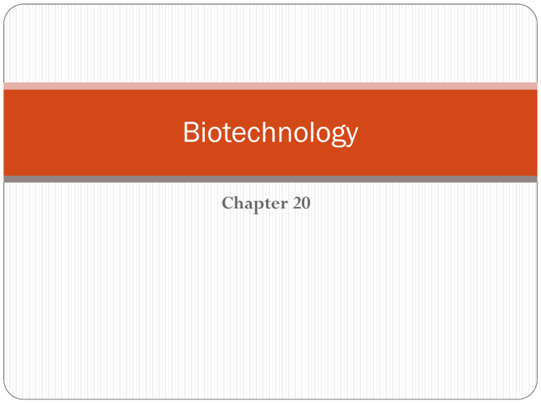 Biotechnology Chapter 20 Teacher