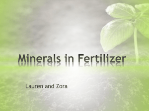 Minerals in Fertilizer