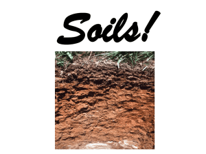 Soils!