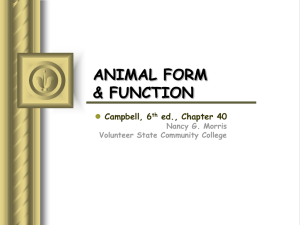 animal form & function - Volunteer State Community College