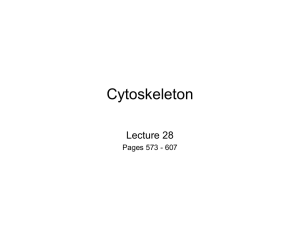Lecture 28 POWERPOINT here
