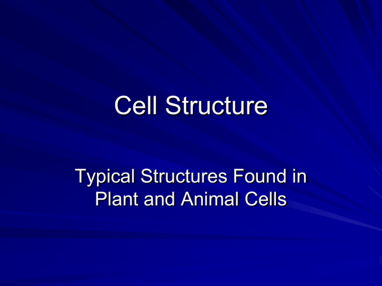 Cell Structure