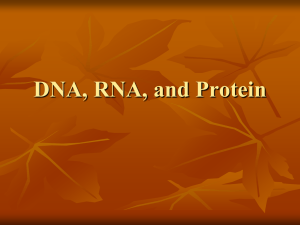 RNA - Images