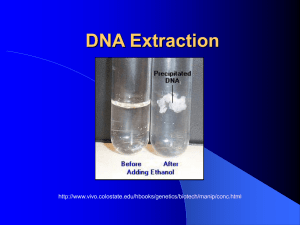 DNA Extraction - Marine Biotech