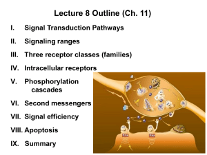 lecture 8 ppt