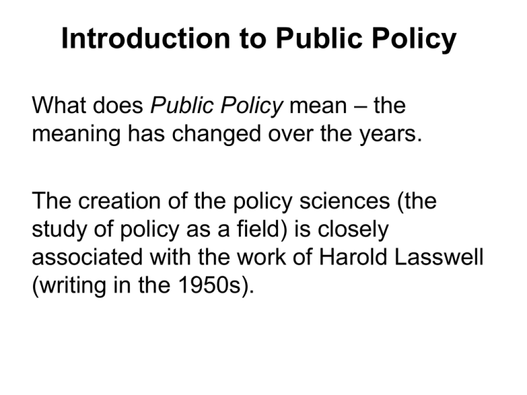 public policy introduction essay
