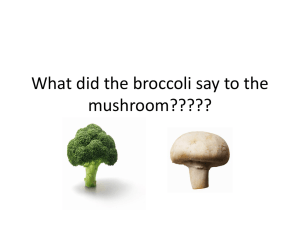What did the broccoli say to the mushroom?????