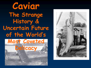 History of Caviar