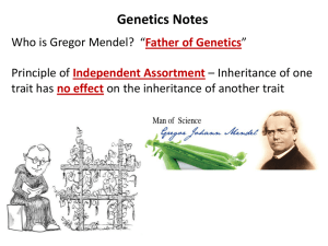 Genetics Powerpoint