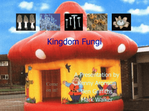 Fungi - Fenn Schoolhouse