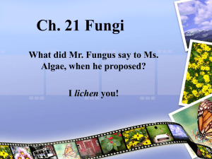 Ch. 21 Fungi - Fort Bend ISD