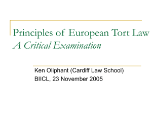Principles of European Tort Law A Critical Examination