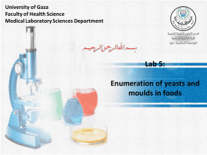 Lab-6-Enumeration-of-yeasts-and-moulds-in