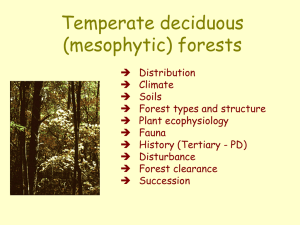 PowerPoint Presentation - Temperate deciduous forests