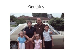 Chapter 9 - Genetics