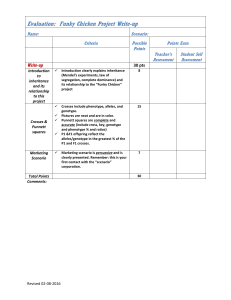Funky Chicken Project Grading Rubric 2-8