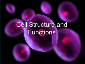 Cells and Cell Functions-1