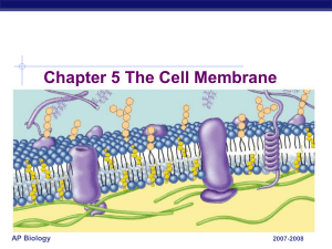 Transport across membrane 3 - E-Learning/An
