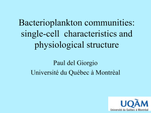 Bacterioplankton communities: single-cell characteristics - C-MORE