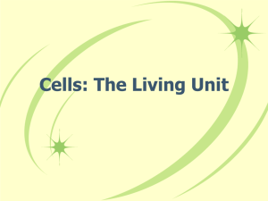 Cells: The Living Unit