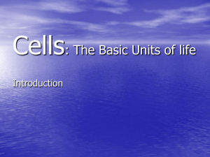 Cells: The Basic Units of life