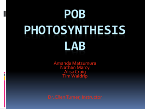 POB Photosynthesis Lab