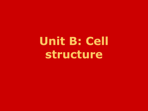 Unit B: Cell structure