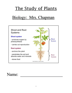 Academic Plant Packet