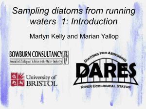 Sampling diatoms from running waters