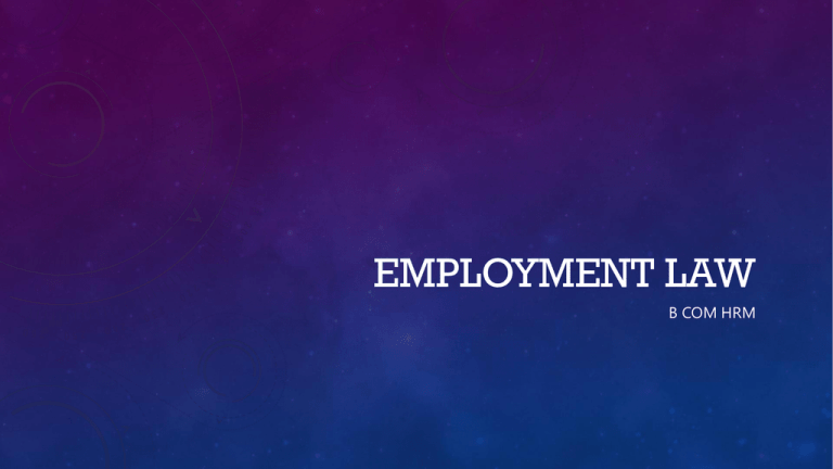 Employment Law Overview France