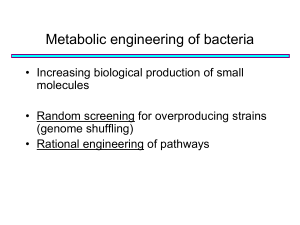 Metabolic engineering of bacteria