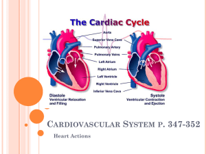 Cardiovascular System p. 350-357
