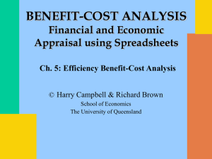 Efficiency Benefit-Cost Analysis