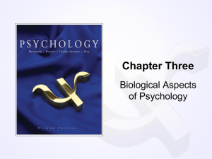 Chapter Three Biological Aspects of Psychology