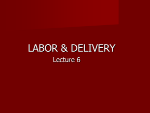 Lecture # 3 LABOR & DELIVERY CHAP. 18,19, 20