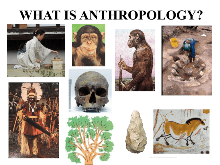 intro-to-anthro