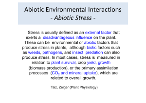 Abiotic Stress