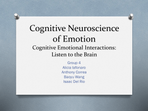 Cognitive Neuroscience of Emotion Cognitive Emotional Interactions