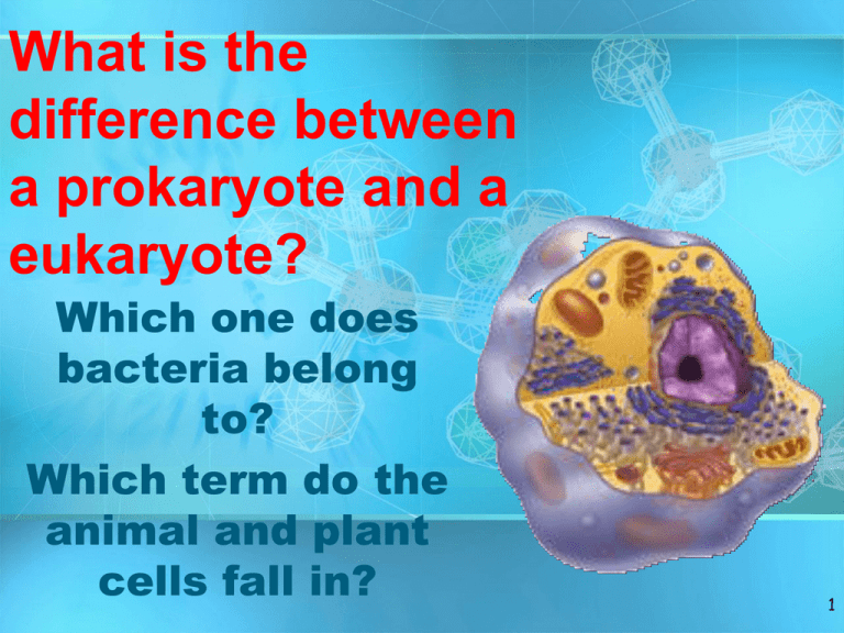 What Scientist Stated That All Animals Are Made Of Cells