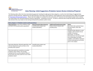 Data Planning: Initial Suggestions (Probation System Review
