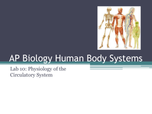 AP Biology Human Body Systems