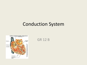 Conduction System