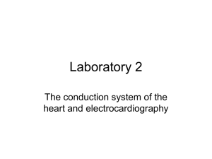 Laboratory 2: Conduction System