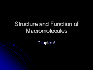 Chp 5 Structure and Function of Macromolecules