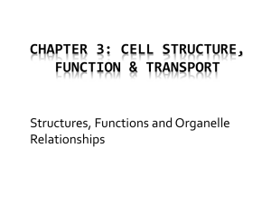 Section 1.3: Cell Membrane Transport