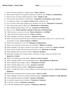 Biology Chapter 7 Study Guide Name: What microscope magnifies