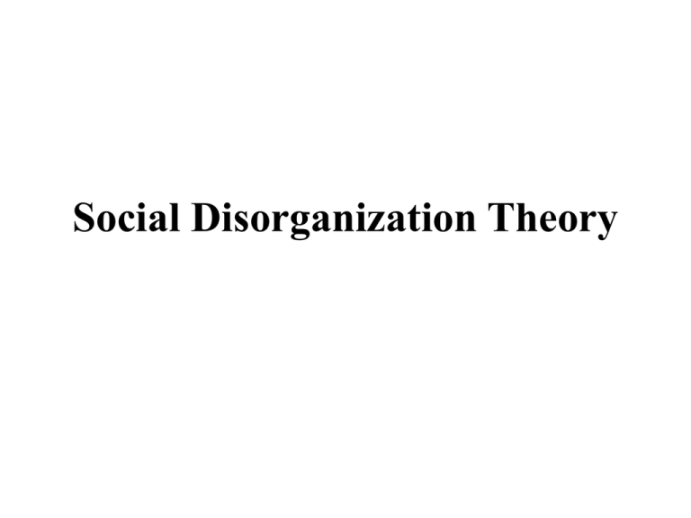 3 Types Of Social Disorganization Theory