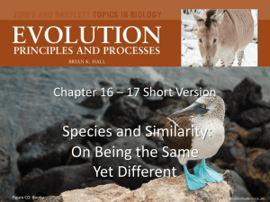Chapter 16 Species and Similarity: On Being the Same Yet Different
