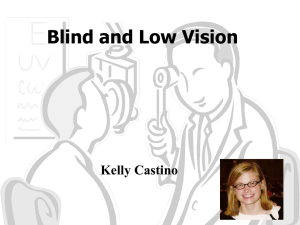 Blind and Low Vision
