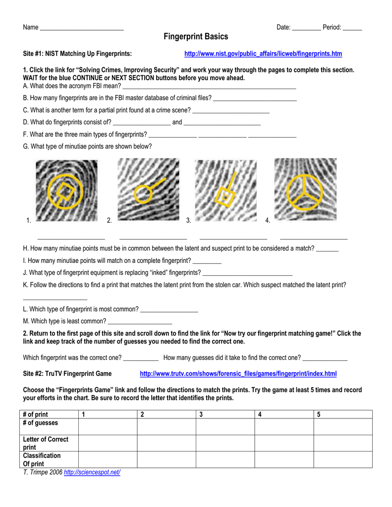 Fingerprint Basics Worksheet Answers Worksheet